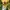 Japanese brand Y2K Grunge T-shirt Wanita yellow photo 2