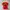 A Bathing Ape Vintage Y2K T-shirt Wanita red photo 1