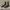 Dr. Martens 1460-1 Black Smooth Boots photo 1