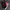 VANS Skater Casual shoe Pria red black photo 1