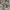 Japanese brand Casual Sweater Pria multicolor photo 3