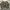 Japanese brand Casual Sweater Pria multicolor photo 1