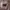 Longchamp Luxury Casual Handbag Wanita pink photo 6