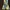 Vintage Midi dress Wanita yellow photo 1