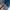 Arc'teryx Sportswear Track jacket Pria blue photo 7