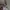 Levi's Luxury Denim jacket Pria multicolor photo 5