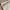 Fossil Vintage Shoulder bag Wanita tan photo 5