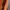 The North Face Gorpcore Sportswear Track jacket Pria orange photo 4