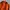 The North Face Gorpcore Sportswear Track jacket Pria orange photo 3