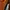 The North Face Gorpcore Sportswear Track jacket Pria orange photo 5