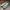 Adidas Casual Sneakers Pria multicolor tan photo 2