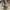 Adidas Casual Sneakers Pria multicolor tan photo 4