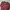 Vintage Blouse Wanita burgundy brown photo 2