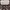 Tory Burch Lolita Handbag Wanita white photo 2
