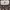 Tory Burch Lolita Handbag Wanita white photo 1