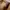 Tory Burch Lolita Handbag Wanita brown photo 5