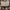 Tory Burch Lolita Handbag Wanita brown photo 1