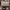 Tory Burch Lolita Handbag Wanita brown photo 2