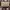 Tory Burch Lolita Handbag Wanita Brown