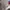 Adidas Sportswear Casual Sweater Pria gray photo 7
