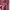 Shein Luxury Going out dress Wanita red pink photo 5