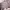 Mahagrid Streetwear Minimalist Sweater Pria gray photo 1