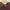 Japanese brand Streetwear Casual Hoody Pria brown photo 4