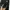 Streetwear Casual Bomber jacket Pria black photo 3