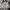 Streetwear Sportswear Track jacket Pria red gray photo 1