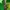 Vintage Streetwear Pria green photo 4