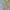 Vintage Streetwear Pria green photo 6