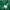 Converse Streetwear Casual Hoody Pria green photo 3