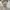 COMME des GARÇONS Streetwear Casual Casual shirt Pria white photo 2