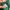 Shein Streetwear Sportswear Sweatpants & Joggers Pria green photo 4