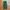 Shein Streetwear Sportswear Sweatpants & Joggers Pria green photo 2