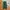 Shein Streetwear Sportswear Sweatpants & Joggers Pria green photo 1