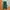 Shein Streetwear Sportswear Sweatpants & Joggers Pria Green