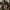 Vintage Y2K Trench Coat Wanita Brown