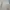 Vintage Streetwear Pria cream photo 7