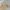 Vintage Streetwear Pria tan khaki photo 6
