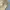 Vintage Streetwear Pria tan khaki photo 5