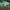 Sepatu Salomon Running Trail  photo 1