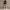 Black White Checkered Mini Dress photo 5
