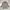 Kangol Vintage Casual Parka Wanita cream photo 3