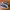 Adidas Casual Sneakers Pria navy blue photo 1