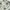 Vintage Y2K Skirt Wanita white blue photo 4