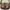 Coach Vintage Y2K Shoulder bag Wanita brown photo 2