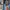Farnese Streetwear Skater Jeans Pria navy photo 5