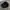 Kangol Luxury Casual Hat Pria black photo 3