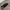 Kangol Luxury Casual Hat Pria black photo 6